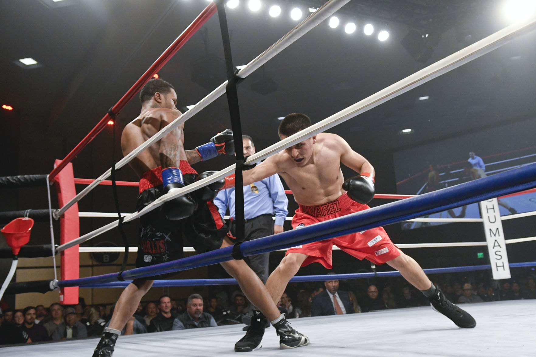 011020 WFC 120 boxing 18.jpg